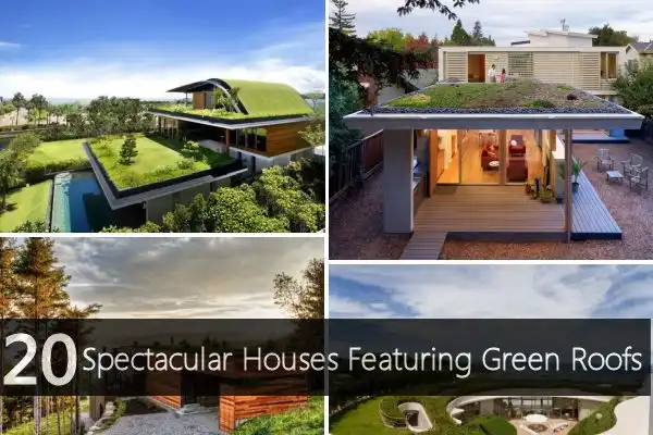 20 Spectacular Houses Featuring Green Roofs