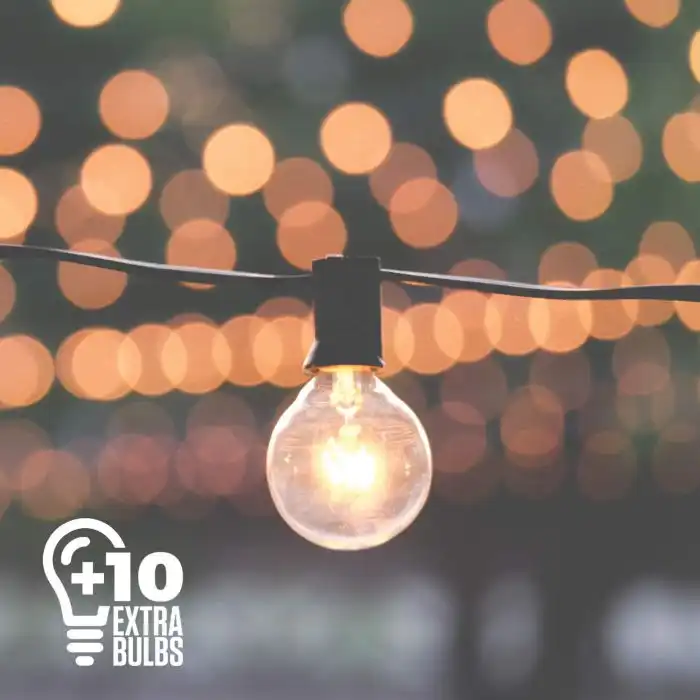 50ft Black String Lights