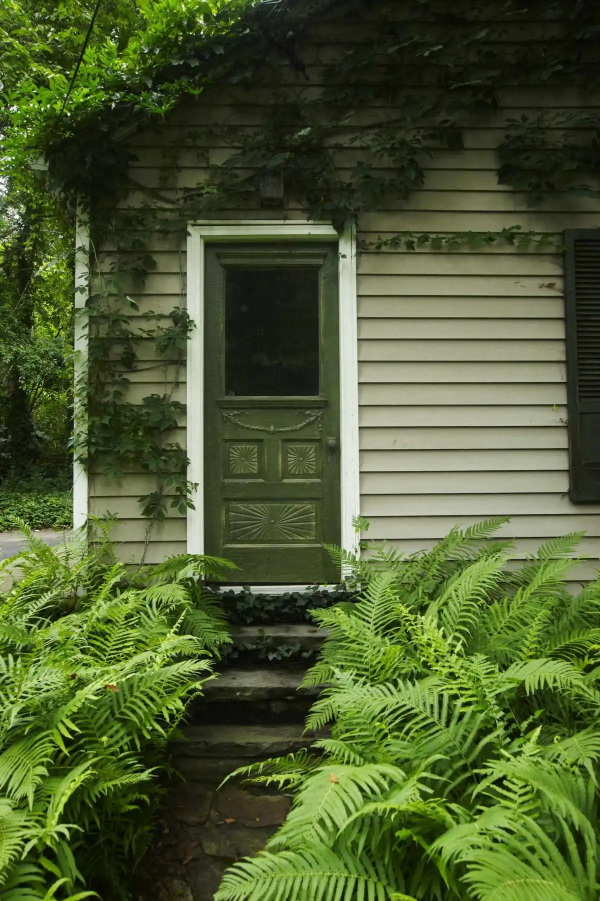 6 Green Front Door Ideas to Level Up Your Curb Appeal