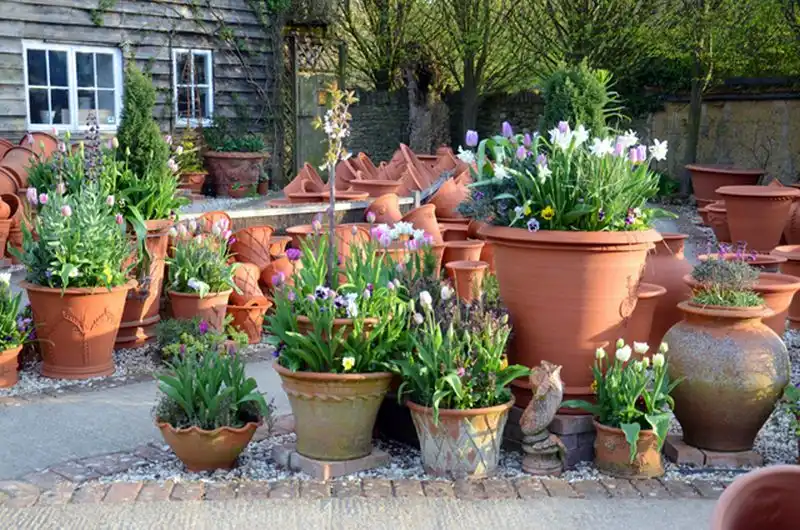 A Garden Above the Ground