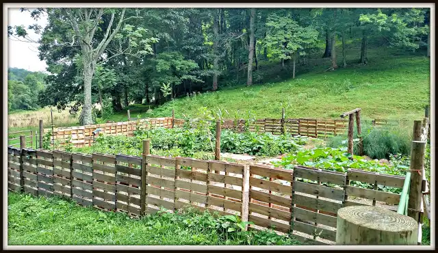 A Garden Fence