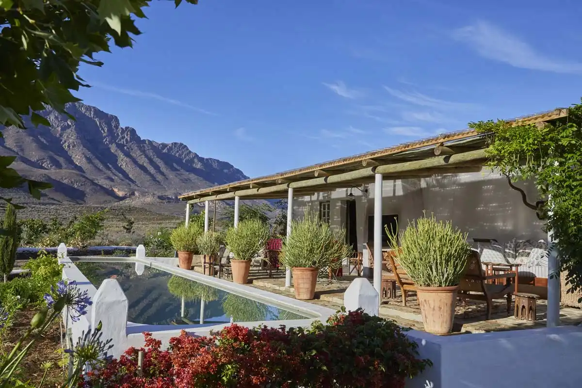A Peaceful Oasis in the Desert