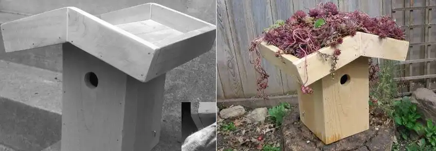 A birdhouse with an oversized green roof