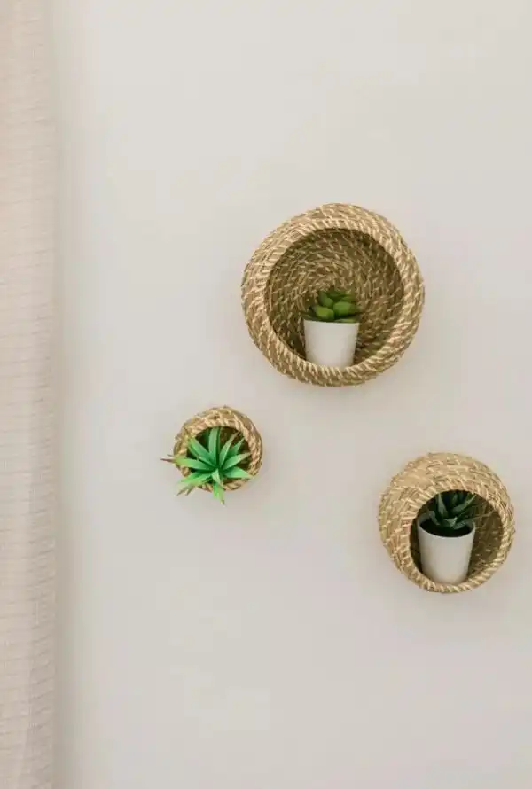 A combination of plants and baskets