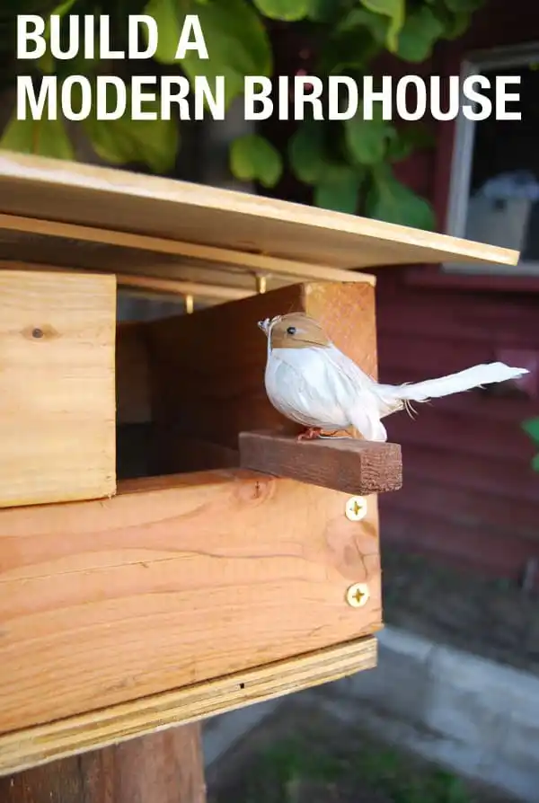 A contemporary birdhouse
