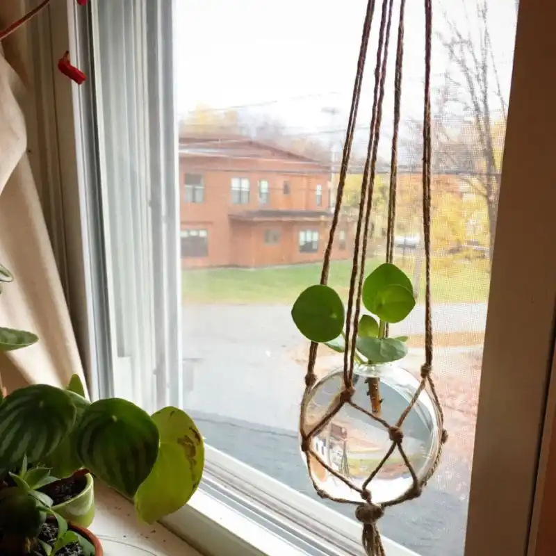 A lil DIY propagation station