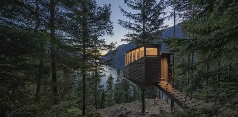 A treehouse with a unique design back view