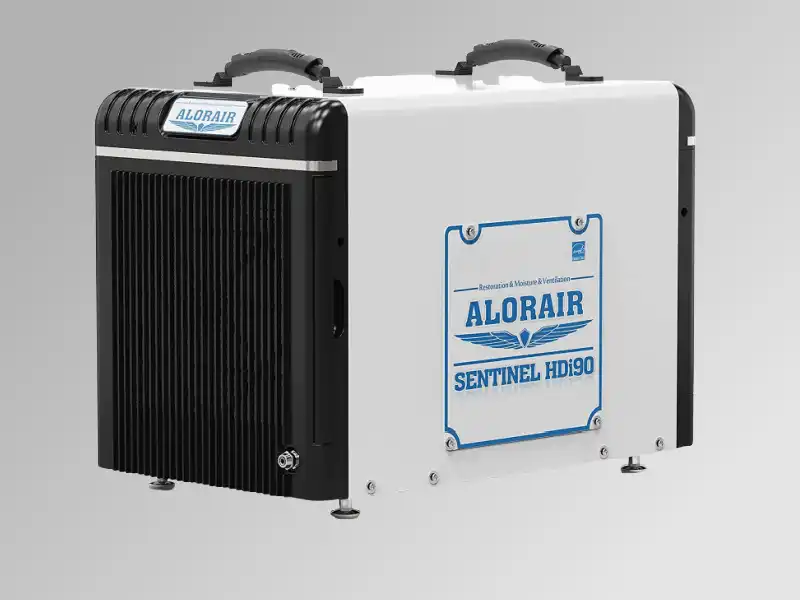 ALORAIR Basement