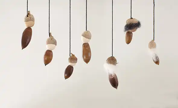 Acorn mobile