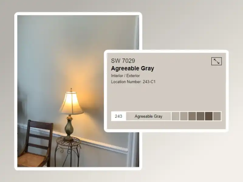 Agreeable Gray 7029