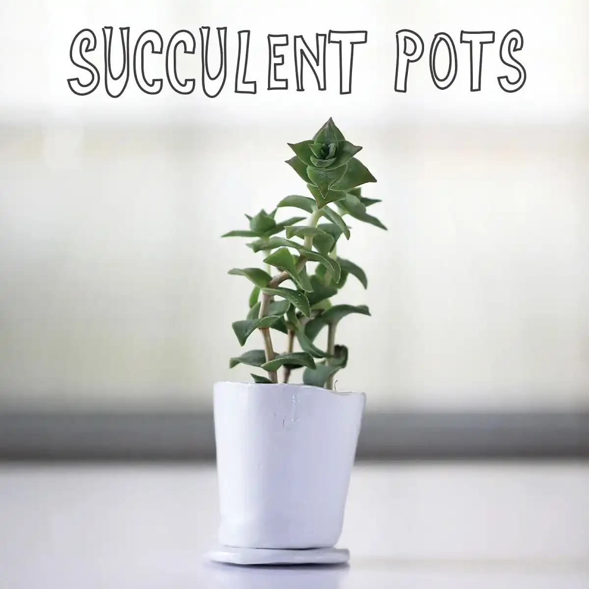 Air dry clay pots