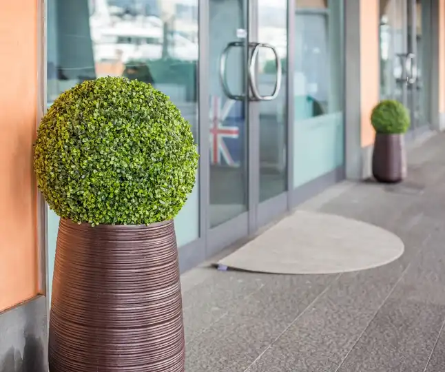 Artificial Topiary Trees Vs. Real Topiary Trees