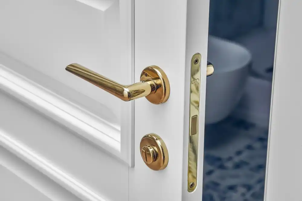 Bathroom Doors