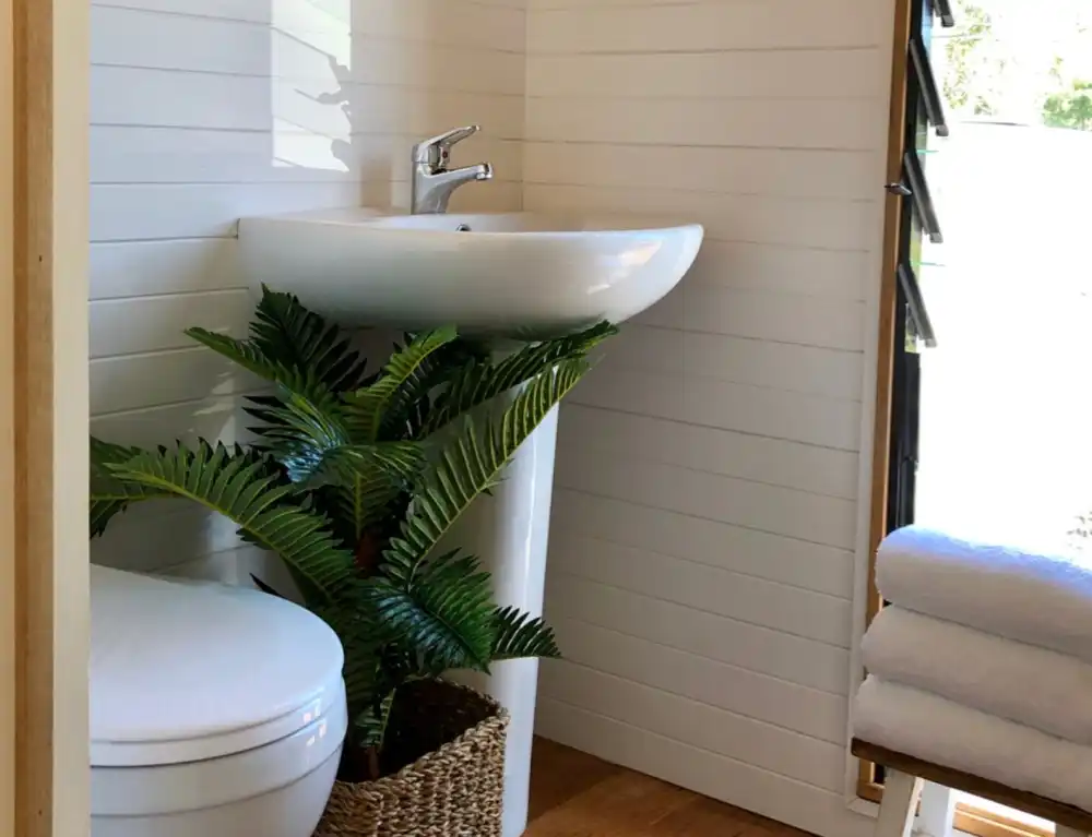 White bathroom walls and green plants