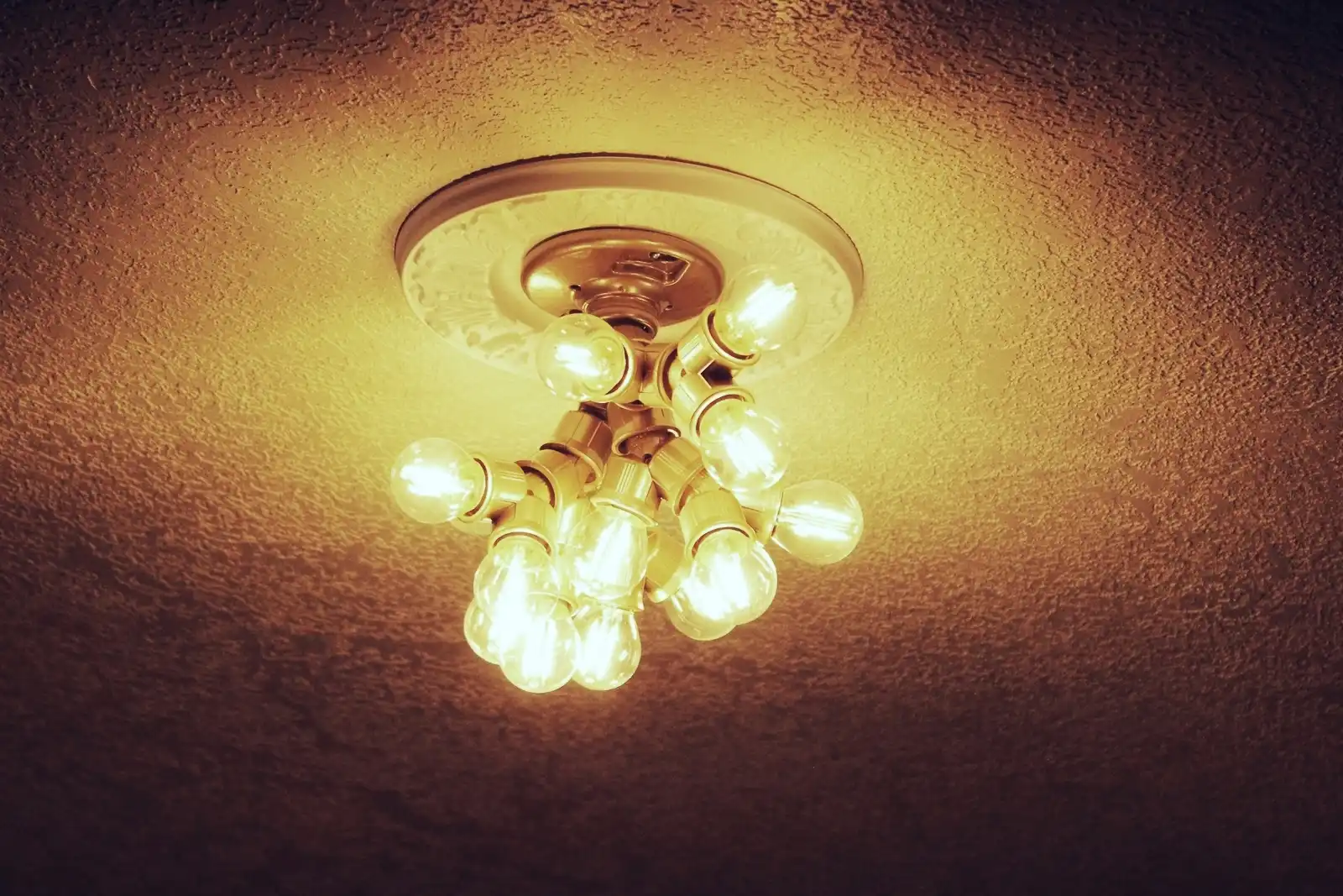 Beautiful Light DIY Branch System