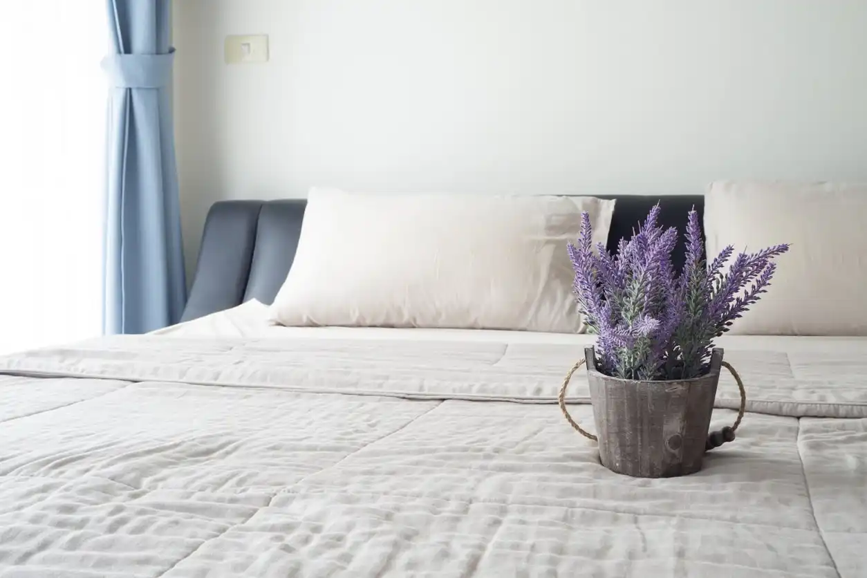 Bedroom Plants to Purify Air