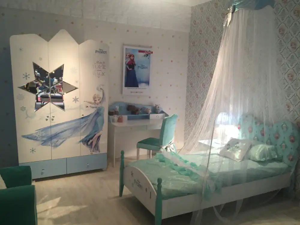 Bedroom color frozen bedroom