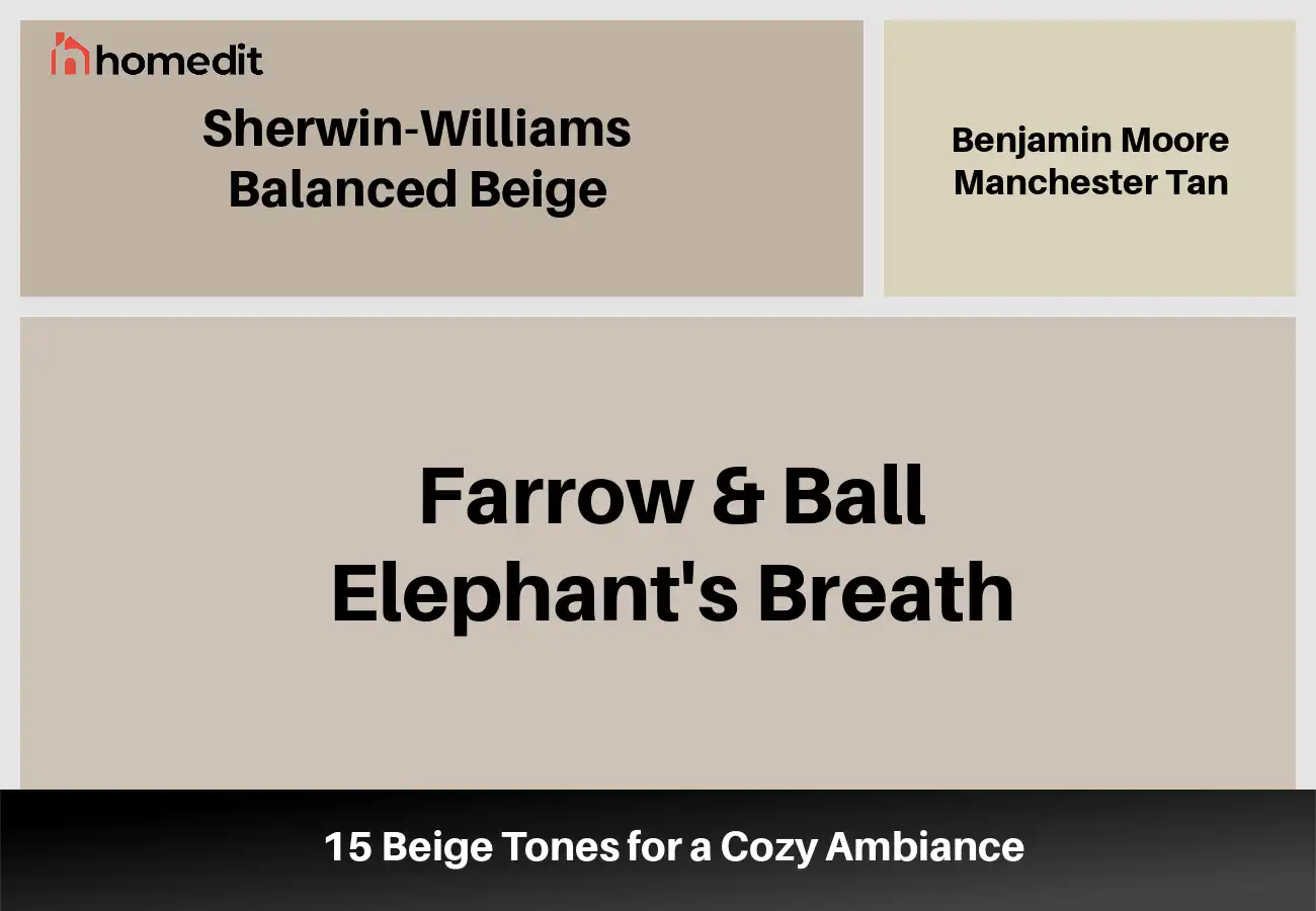 From Creamy to Rich: 15 Beige Tones for a Cozy Ambiance