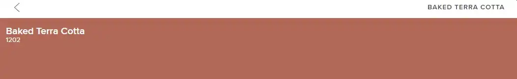 Benjamin Moore Baked Terra Cotta - 1202