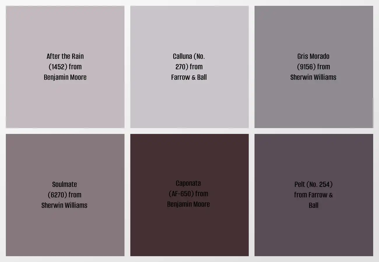 Best Purple Paint Colors for Front Doors