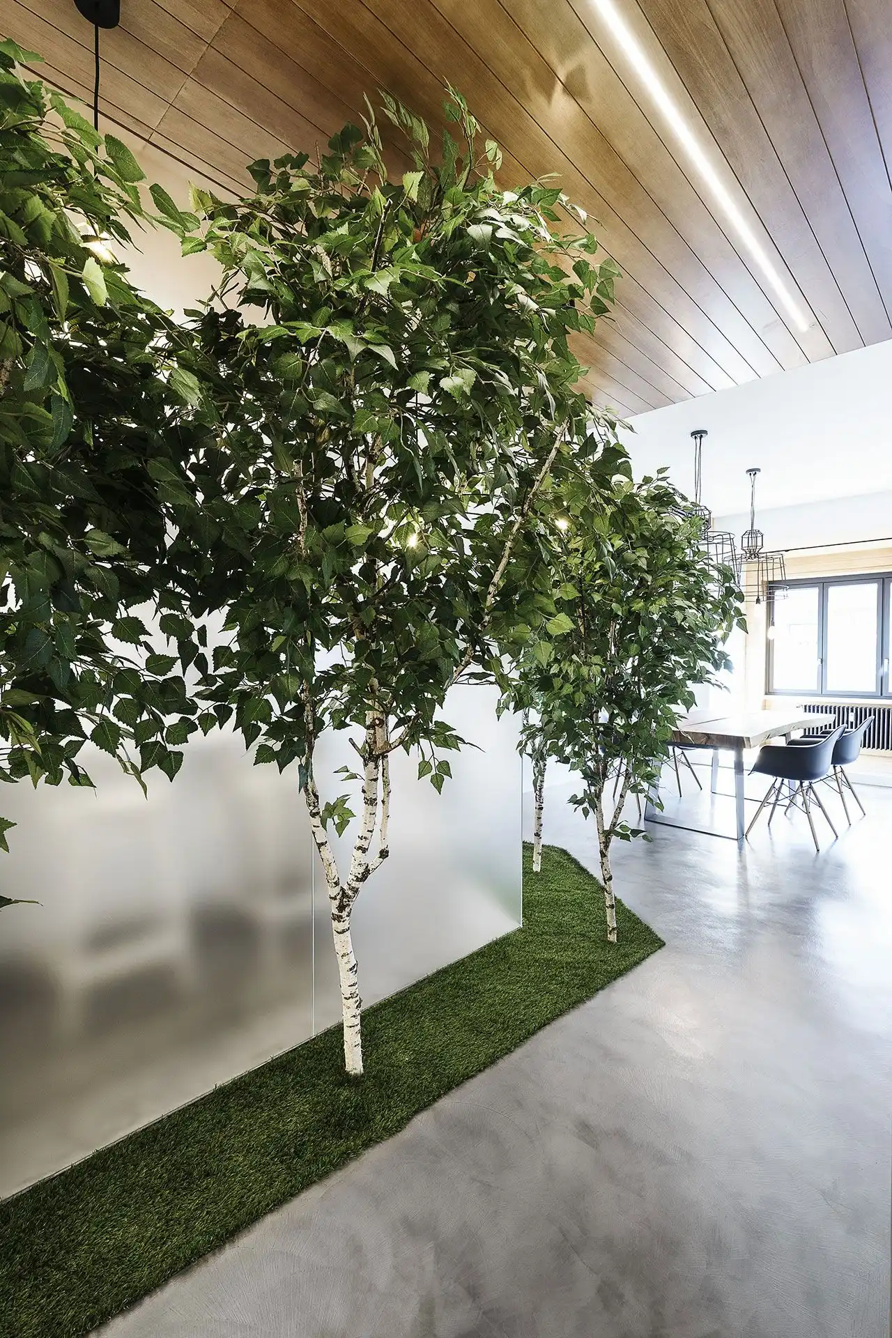 Birch tree and faux turf create a dramatic entryway.