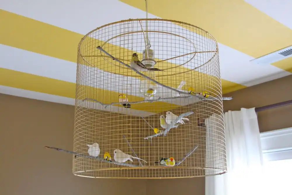 Bird cage lighting fixtures