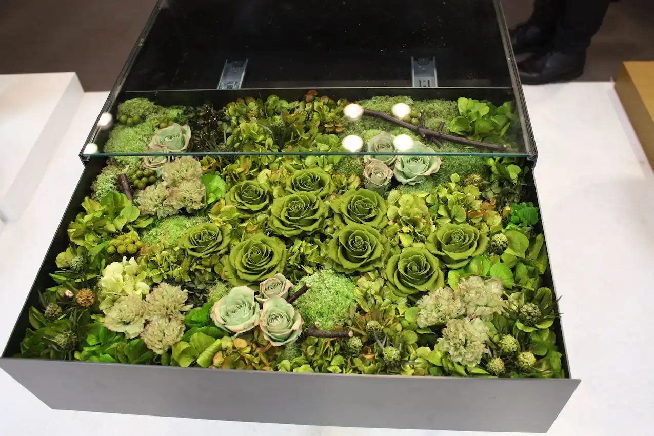 These preserved plants and flowers are still soft and supple.