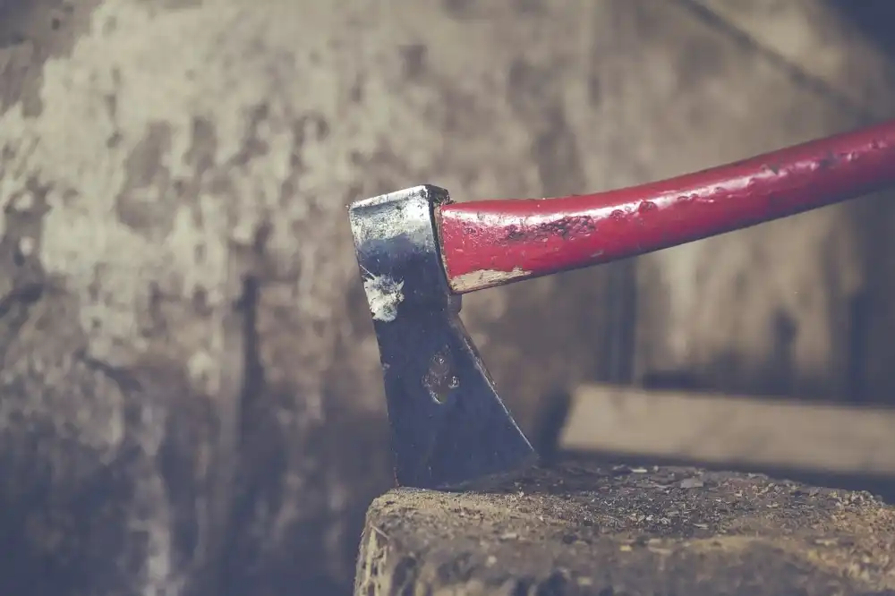 Bit axe