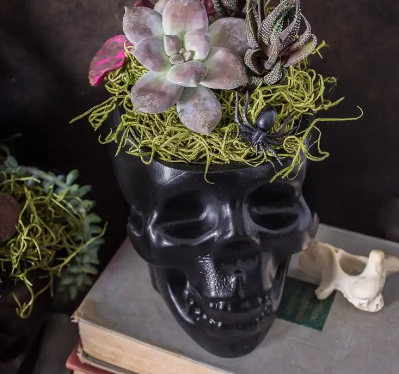 Black Skull Halloween Planter