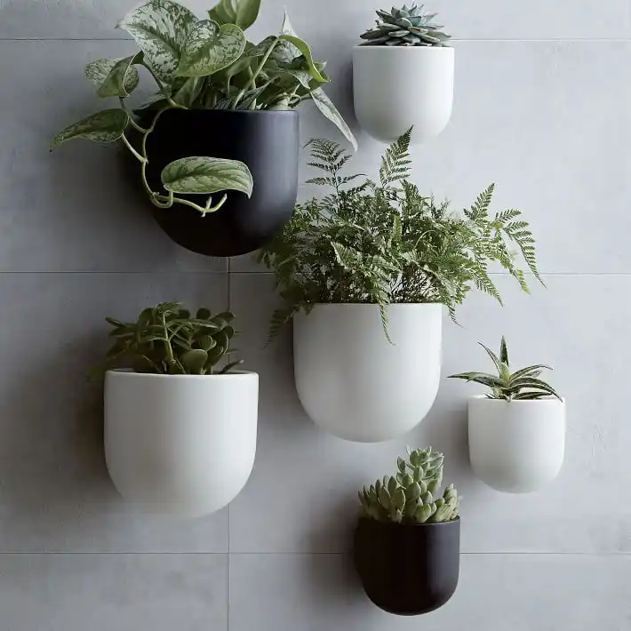 Black and White Wall Planters