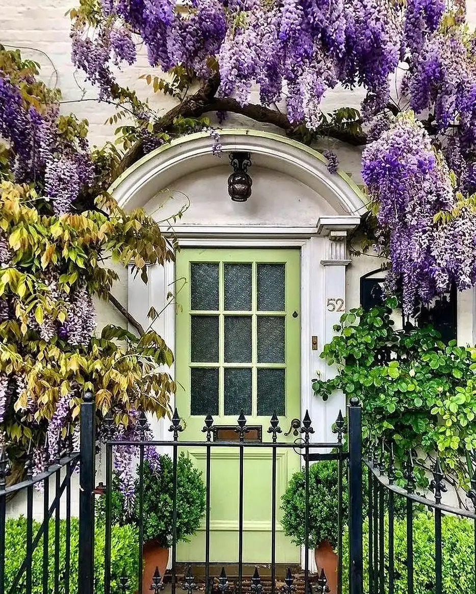 Bold and Bright