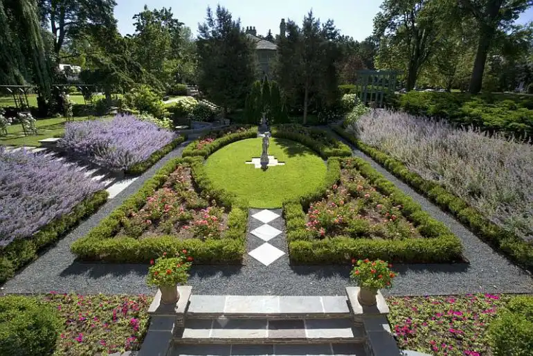 Boxwood lined beds and laverned
