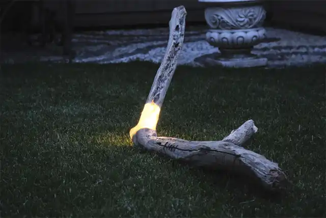 Branch resin and led