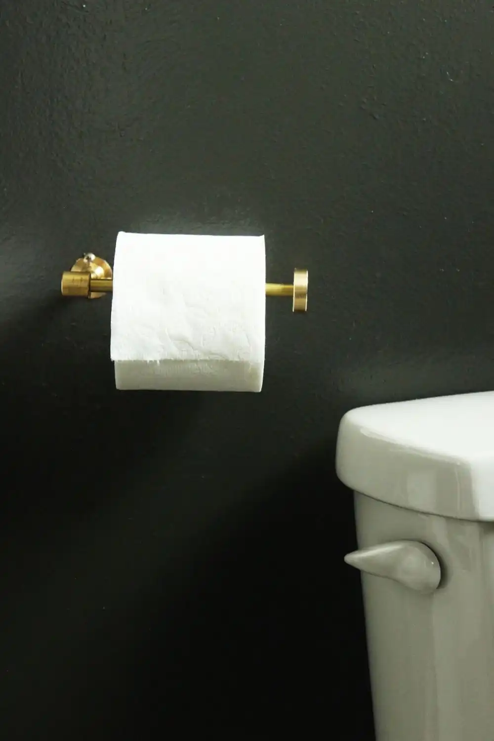 Brass horizontal mount toilet paper