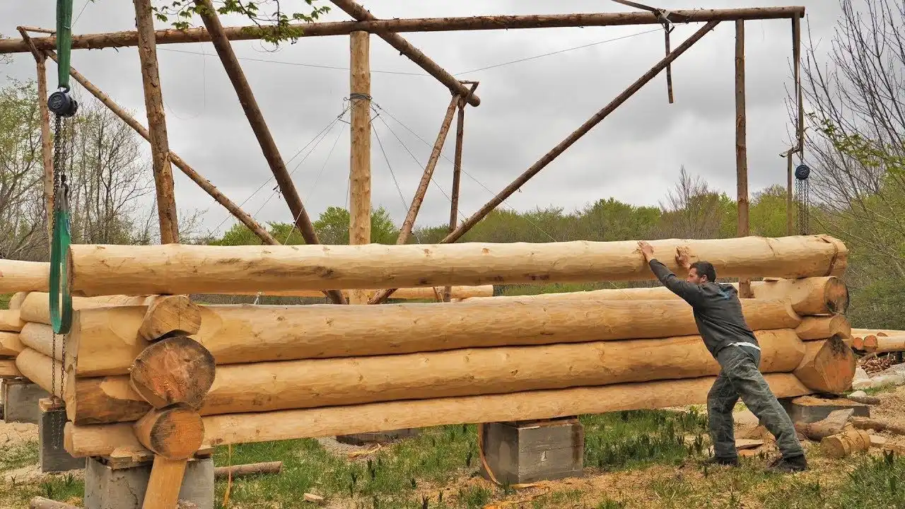 Use Huge Logs to Build Your Own Cabin
