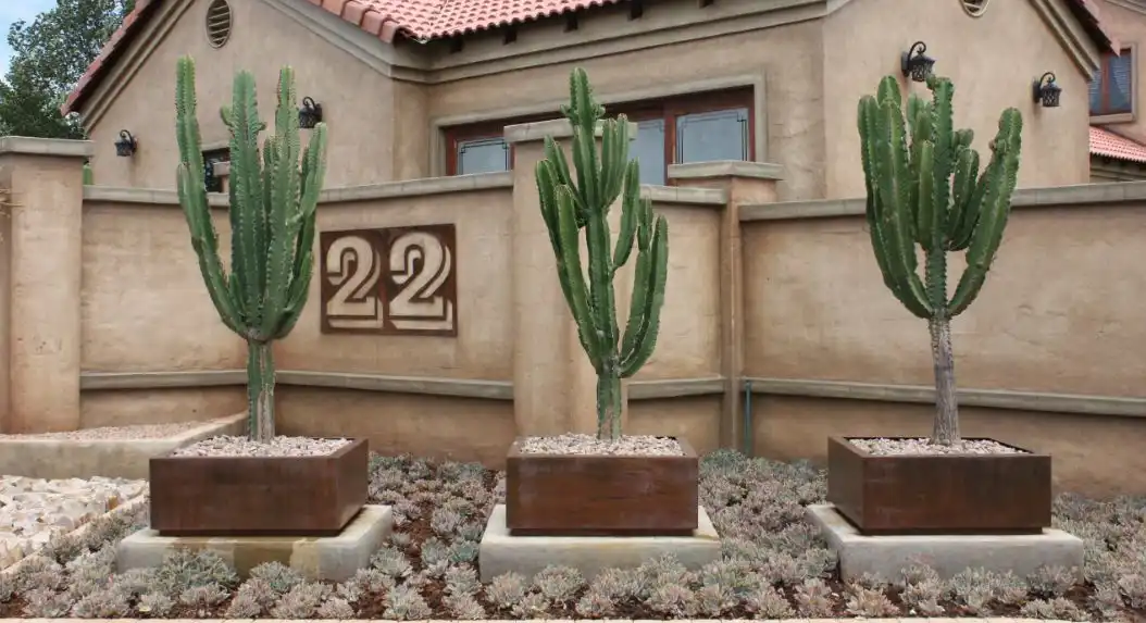 Cactus corten planter
