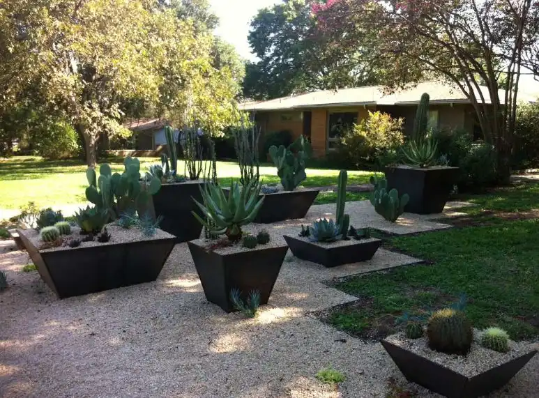 Cactus planters from corten