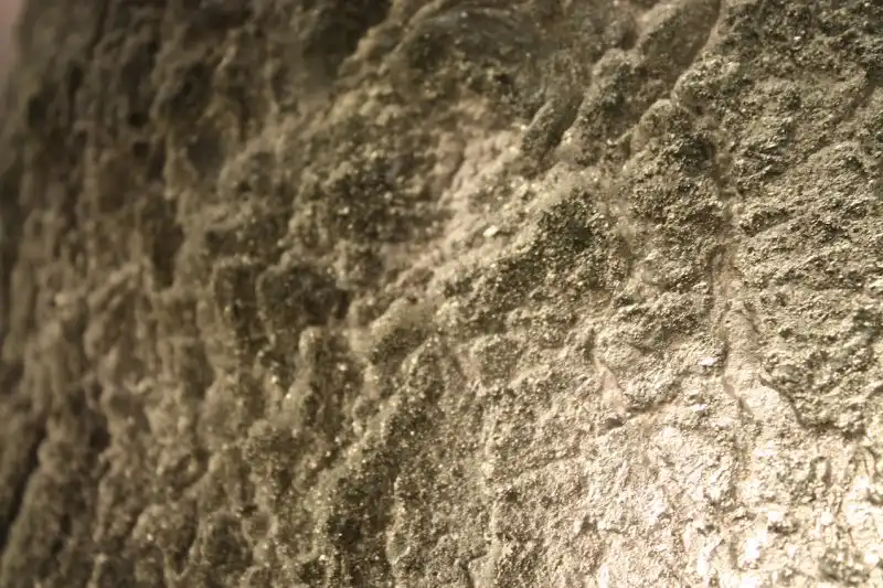 The natural texture of the tree is spectacularly rendered in the resin.