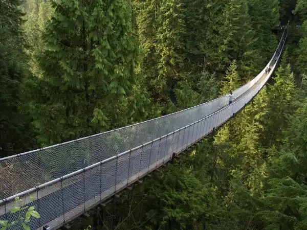 Capilano Suspension Bridge