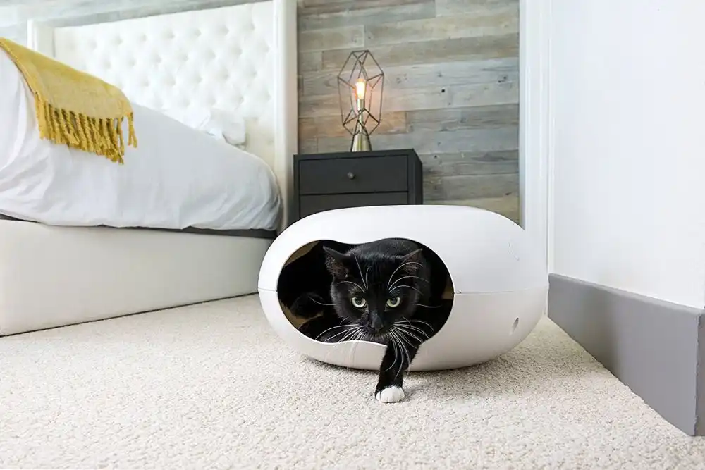 Cat Cave – Small Dog House