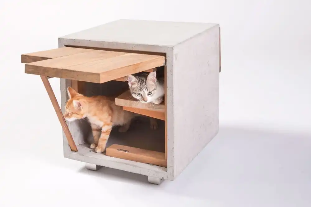 Cat Cube from Concrete