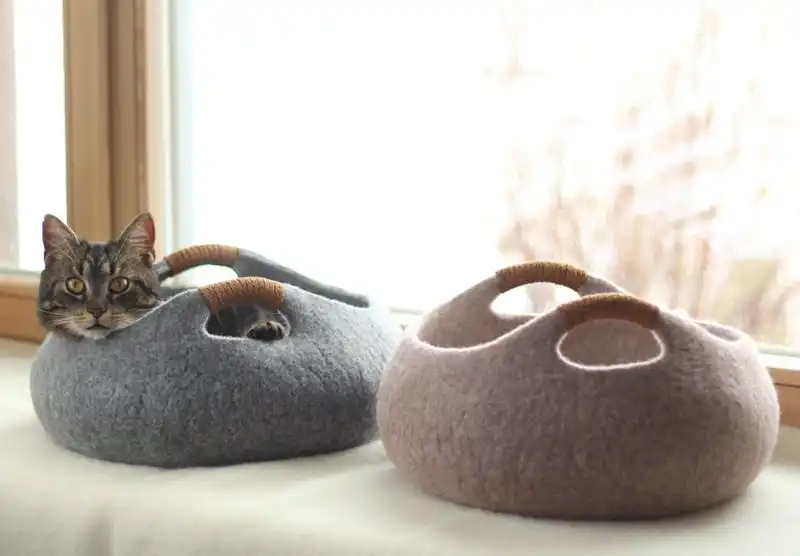 Cat or housecat