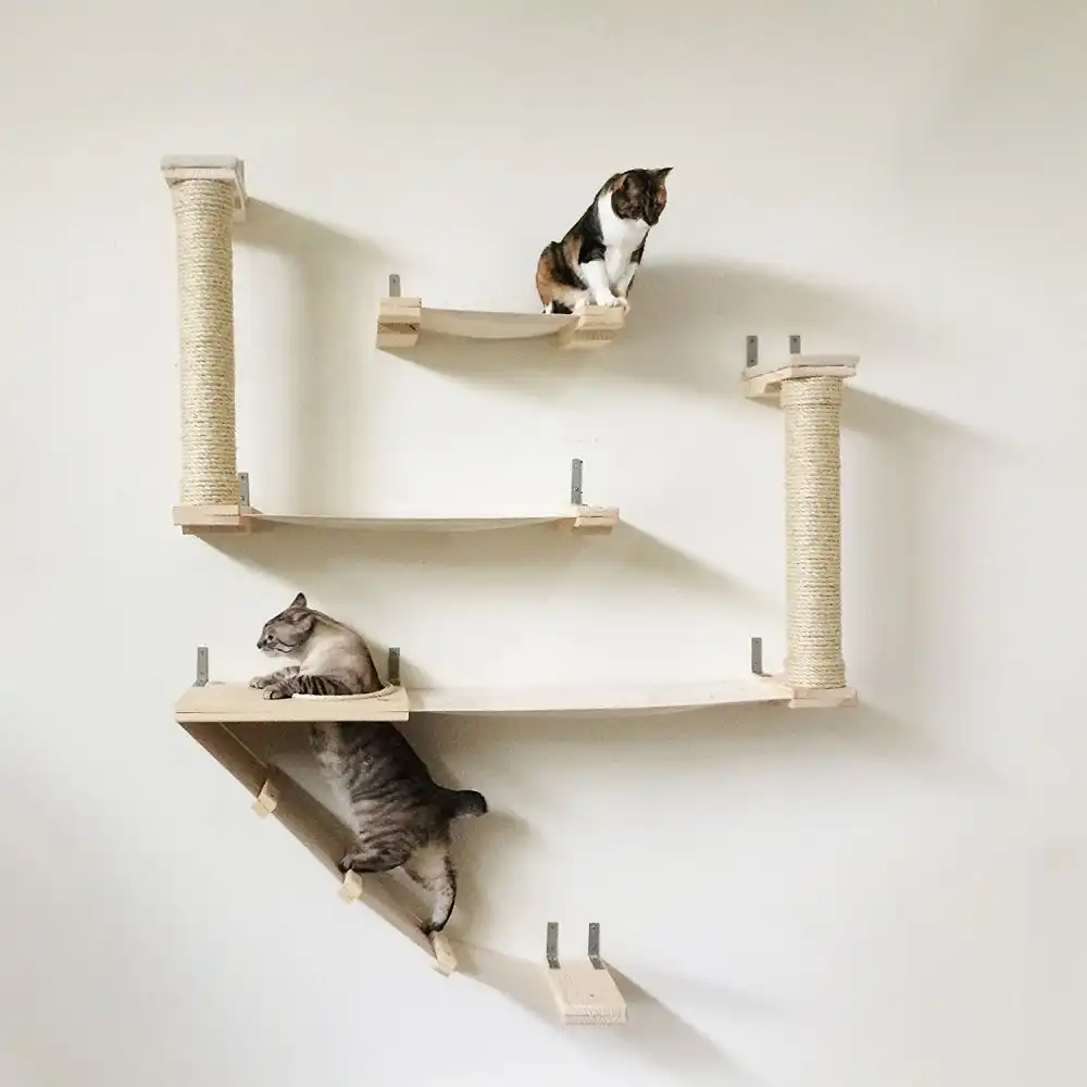 CatastrophiCreations The Roman Cat Fort Hammock Climbing