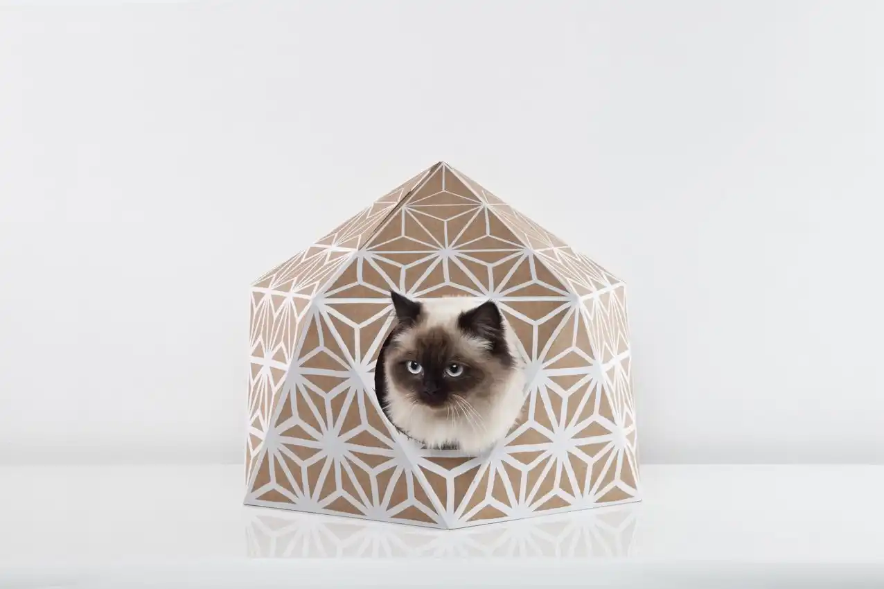 Catcube white design