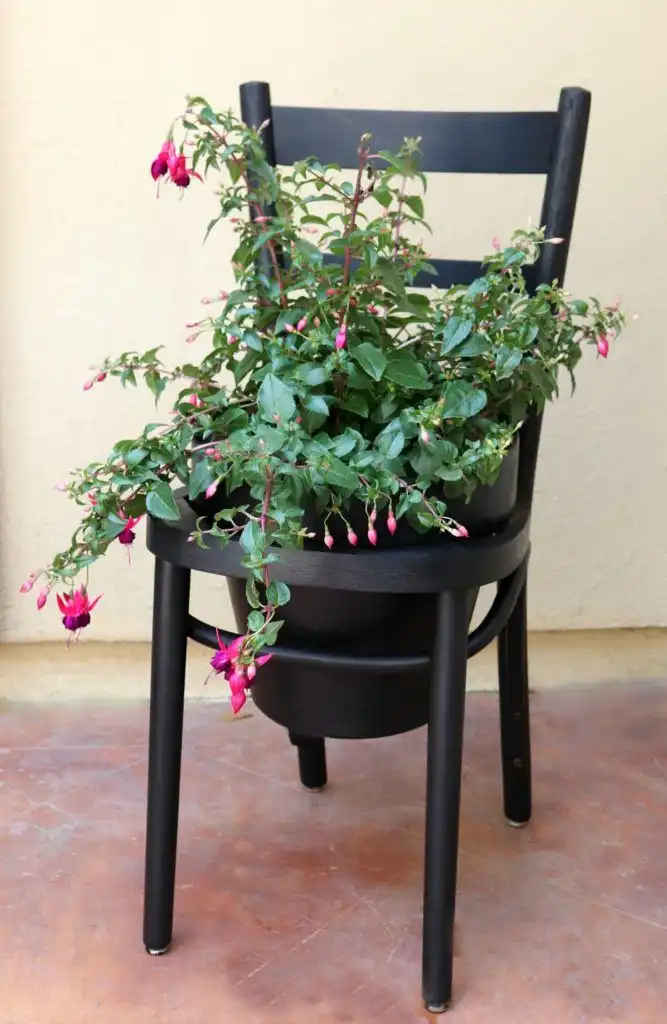 Chair planted diy