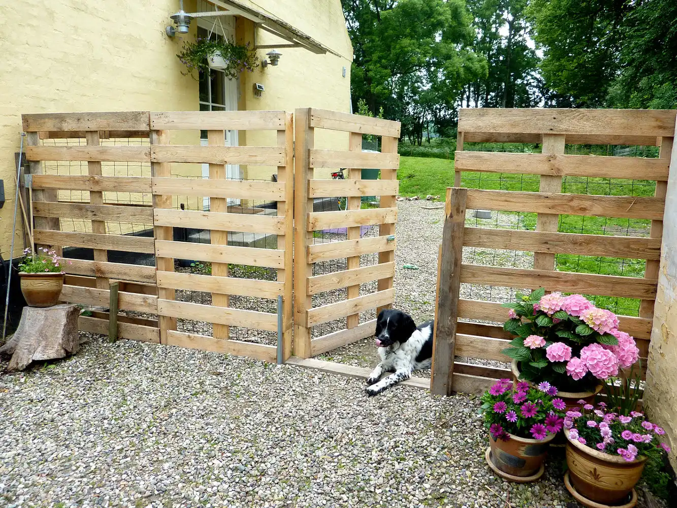 Cheap pallet Fence
