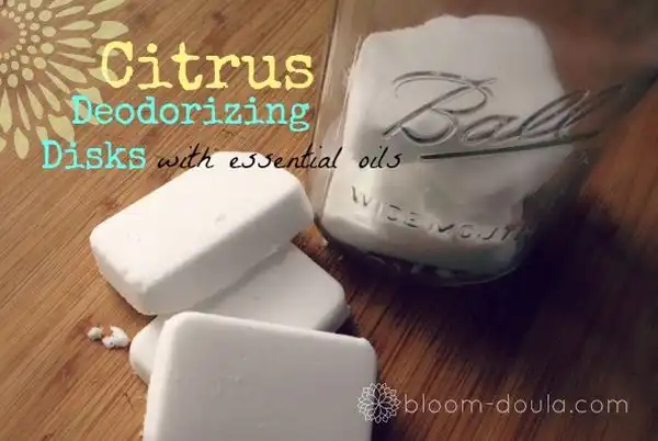 Citrus Deoderizing Disks