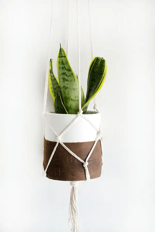 DIY Macrame Projects For Beginners And Experts