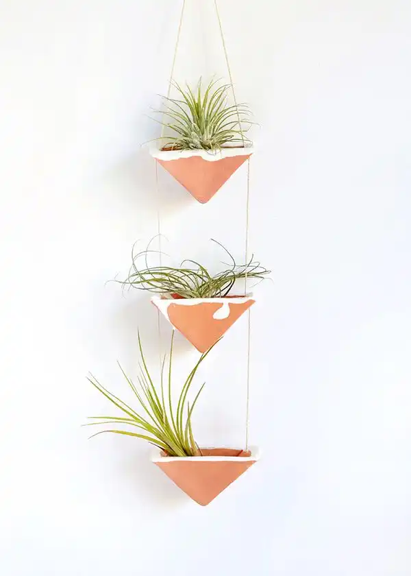 Clay hanging plants