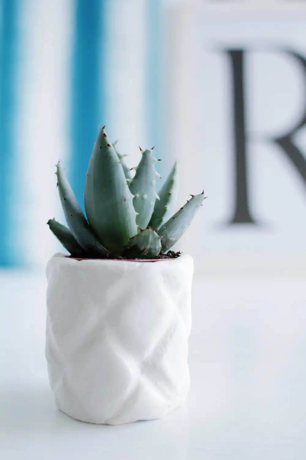 Clay pineapple planter DIY